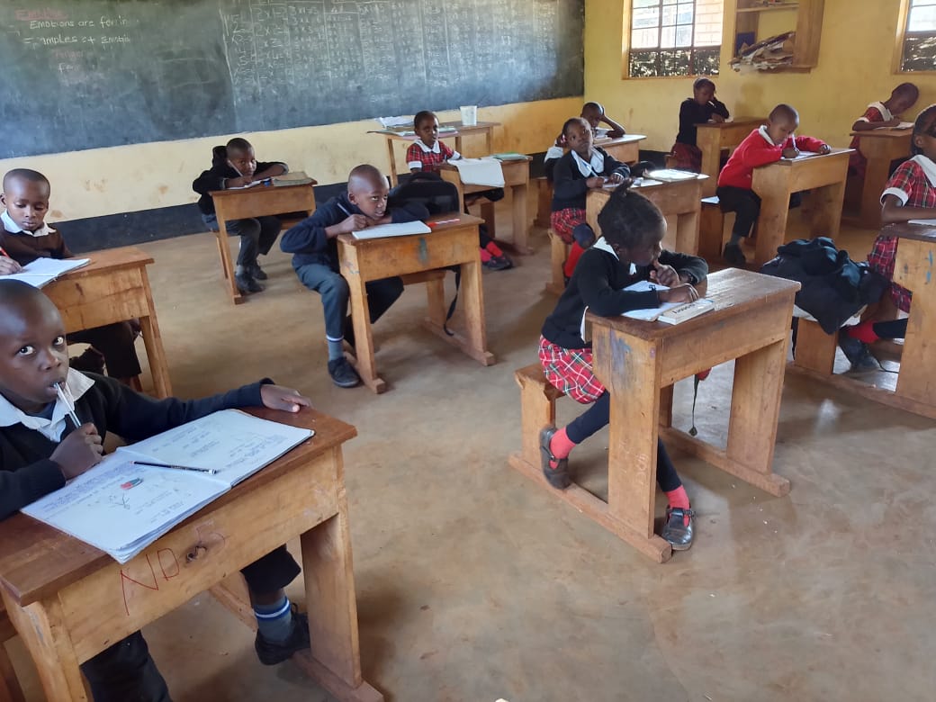 Pupils writing in exercise books in class